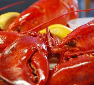 images Lazy Man Lobster Near Me menu for lobster pot east wareham